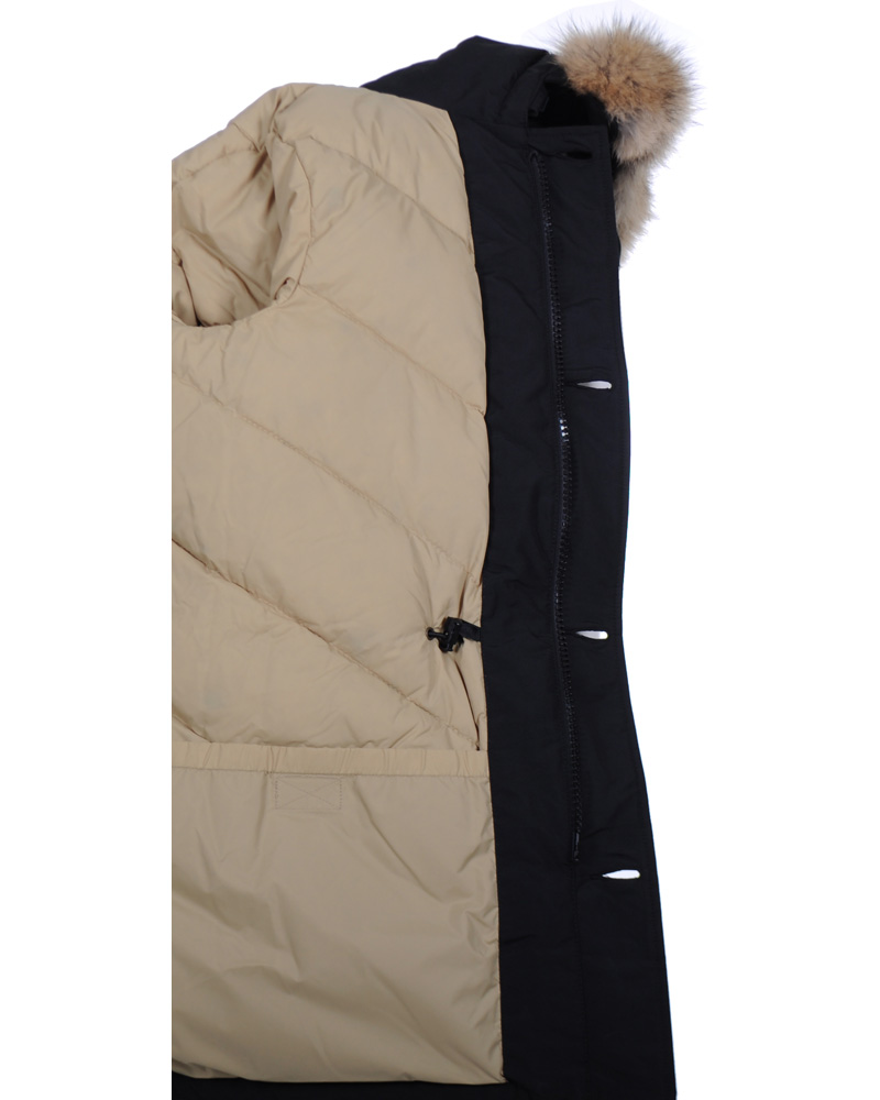Homme | Manteaux Et Vestes | Woolrich | Arctic Parka DF Black